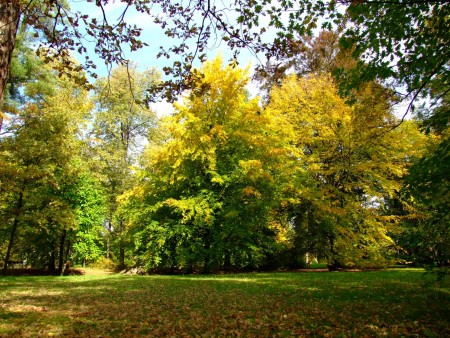 Park Rožnov pod Radhoštěm 10.10.2010